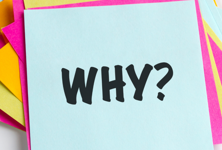 angie featured image blogs