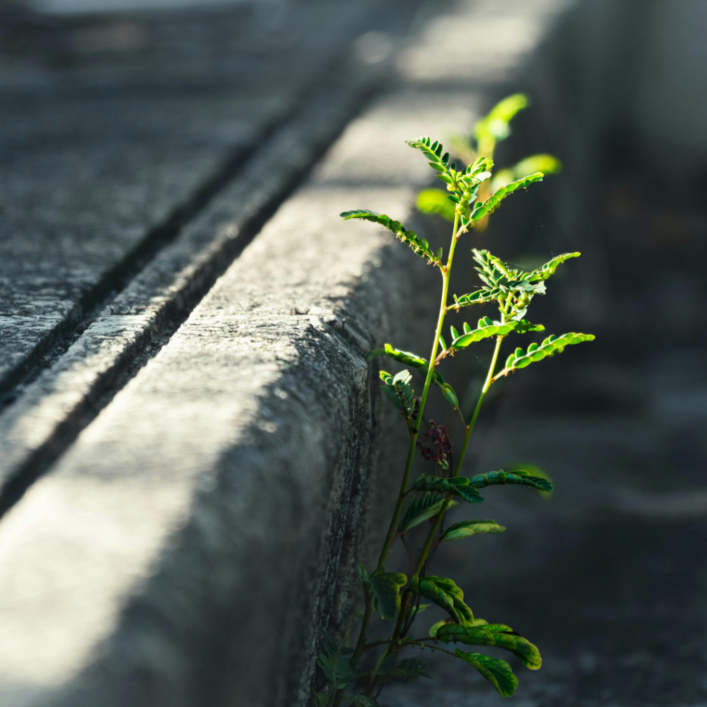 Building Resilient Cultures in the Adhesive & Sealant Industry By Angela Webber