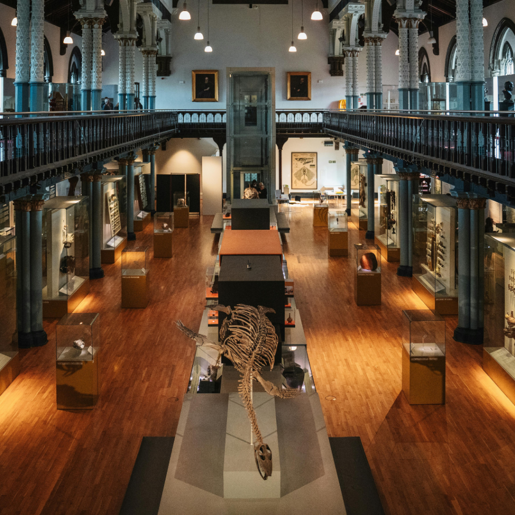 How Empathy on the Sales Floor Can Reshape Museum Retail  By Angela Webber