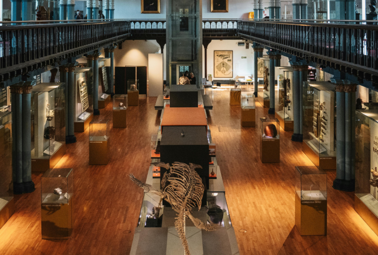 Ms. Angie Angela Webber Blog Post featured image (39)