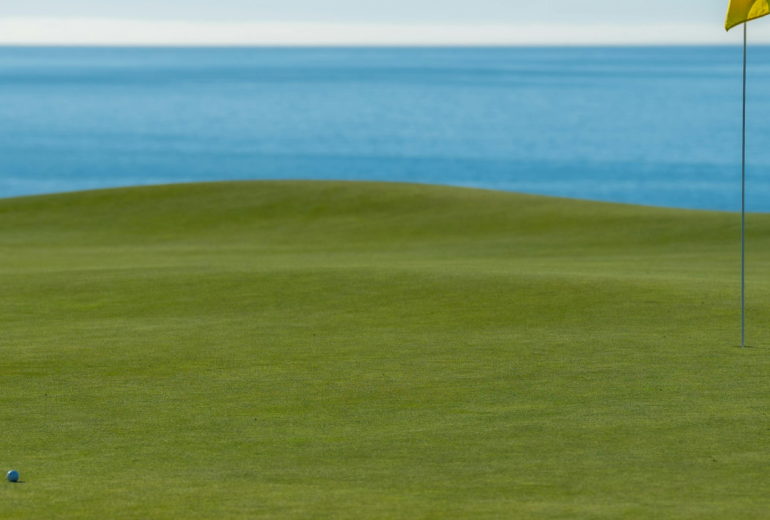 Ms. Angie Angela Webber Blog Post featured image (40)