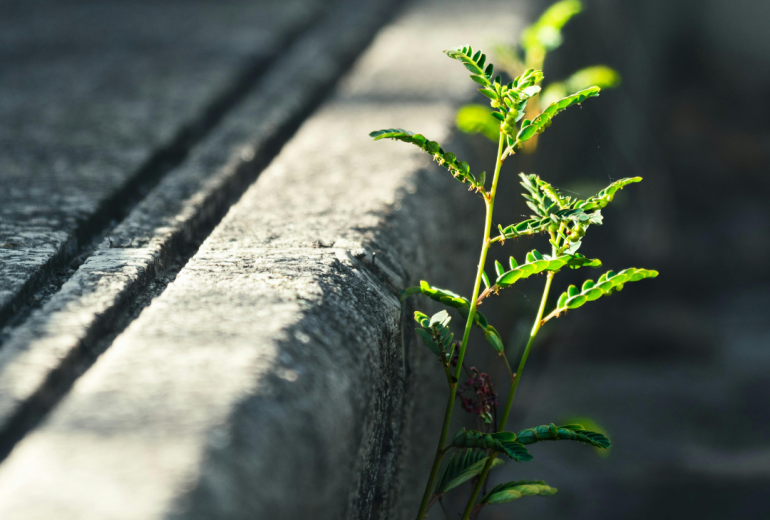 Ms. Angie Angela Webber Blog Post featured image (9)